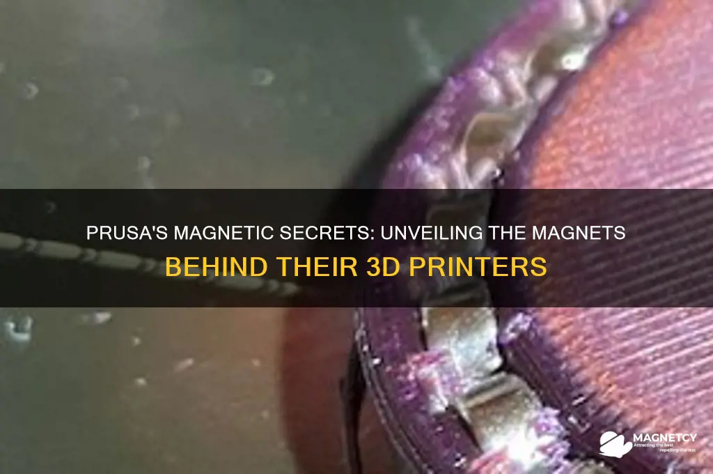 what magnets does prusa use