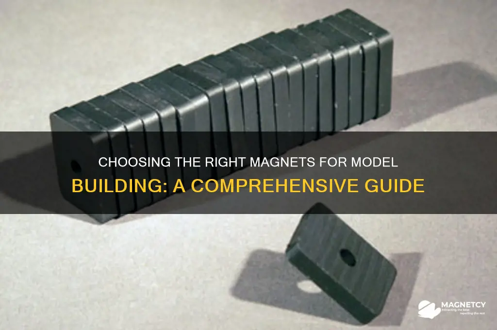 what magnets should be used for models