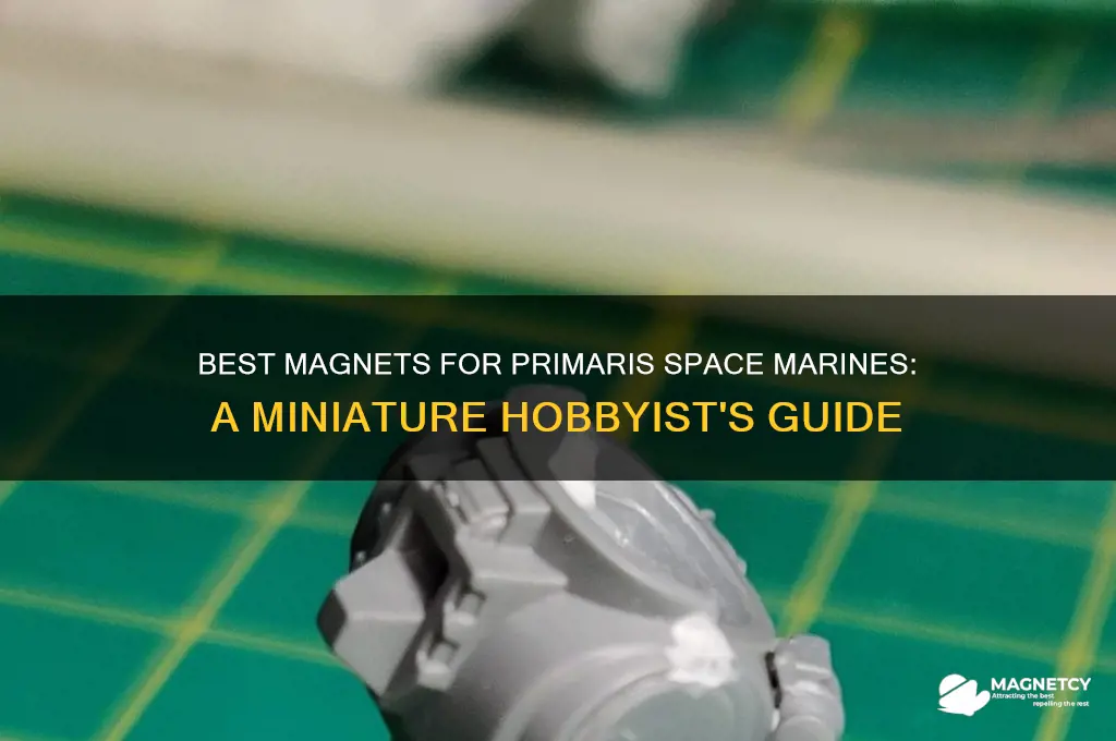 what magnets should i use on primaris space marines