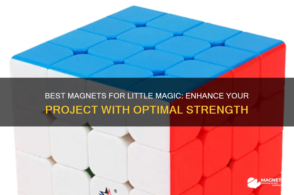 what magnets should you use in the little magic