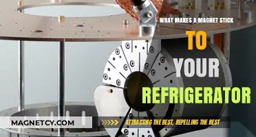 Exploring the Science Behind Magnetic Refrigerator Attachments