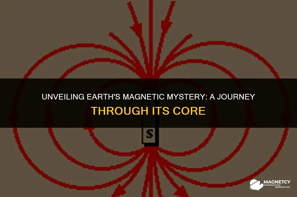 what makes earth a magnet