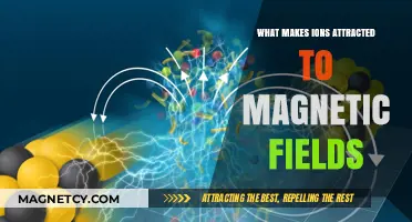 How Magnetic Fields Attract Ions: Exploring the Science Behind It