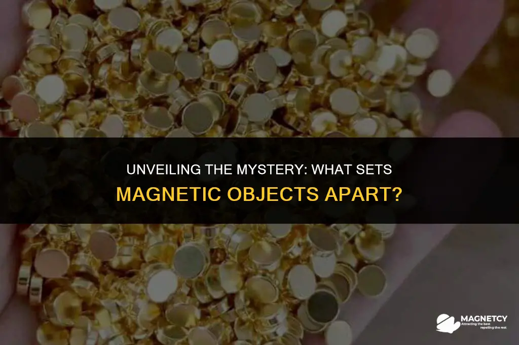 what makes magnetic objects different from non-magnetic objects