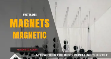 Unlocking the Mysteries: What Gives Magnets Their Magnetic Power?