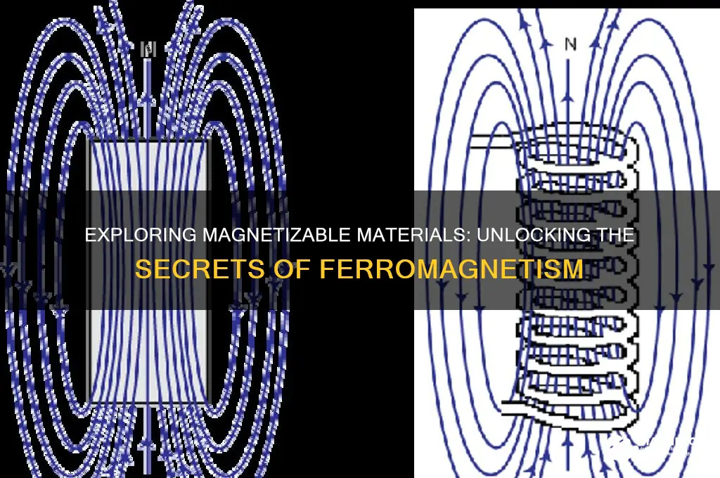 what material can be magnetized