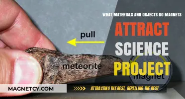 Magnetic Materials: Exploring Objects Attracted to Magnets in Science Projects