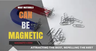 Exploring Magnetic Materials: What Substances Exhibit Magnetic Properties?