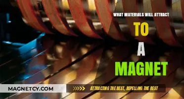 Magnetic Materials: Discovering What Metals and Alloys Attract to Magnets