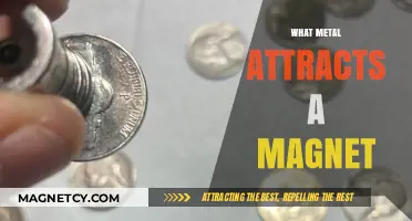 Magnetic Metals: Which Ones Attract Magnets and Why?