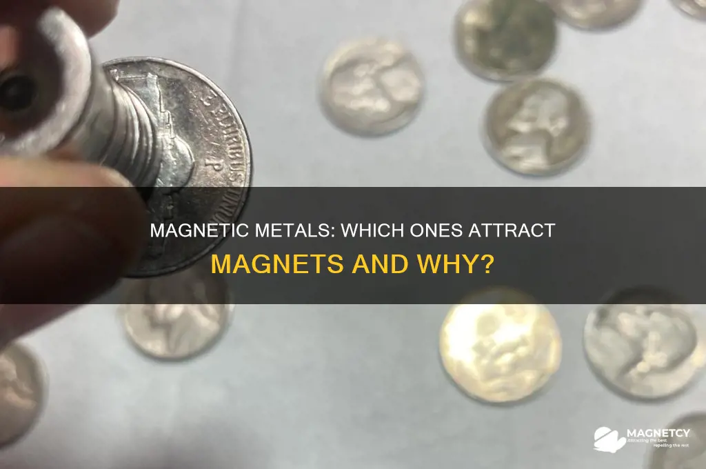 what metal attracts a magnet