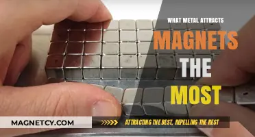 Magnetic Metals: Which One Attracts Magnets the Strongest?
