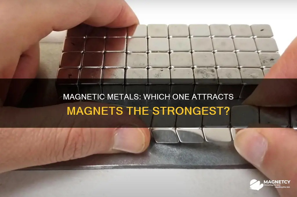 what metal attracts magnets the most