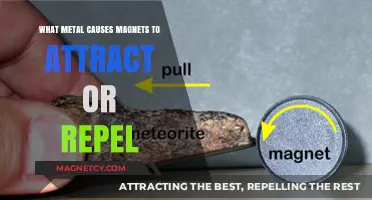Magnetic Metals: Unveiling the Forces of Attraction and Repulsion