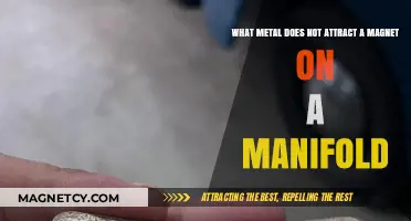 Non-Magnetic Metals: Exploring Manifold Materials That Resist Magnetic Attraction