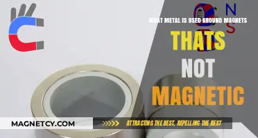 Non-Magnetic Metals: Ideal Materials for Magnet Encasements and Applications