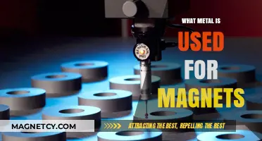 Discovering the Magnetic Metals: Which Materials Power Our Magnets?