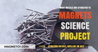 Magnetic Metals: Discovering Which Metals Attract Magnets in Science