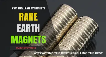 Rare Earth Magnets: Which Metals Are Strongly Attracted to Them?