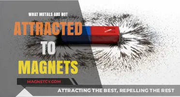 Metals That Resist Magnetic Pull: Unveiling Non-Magnetic Materials
