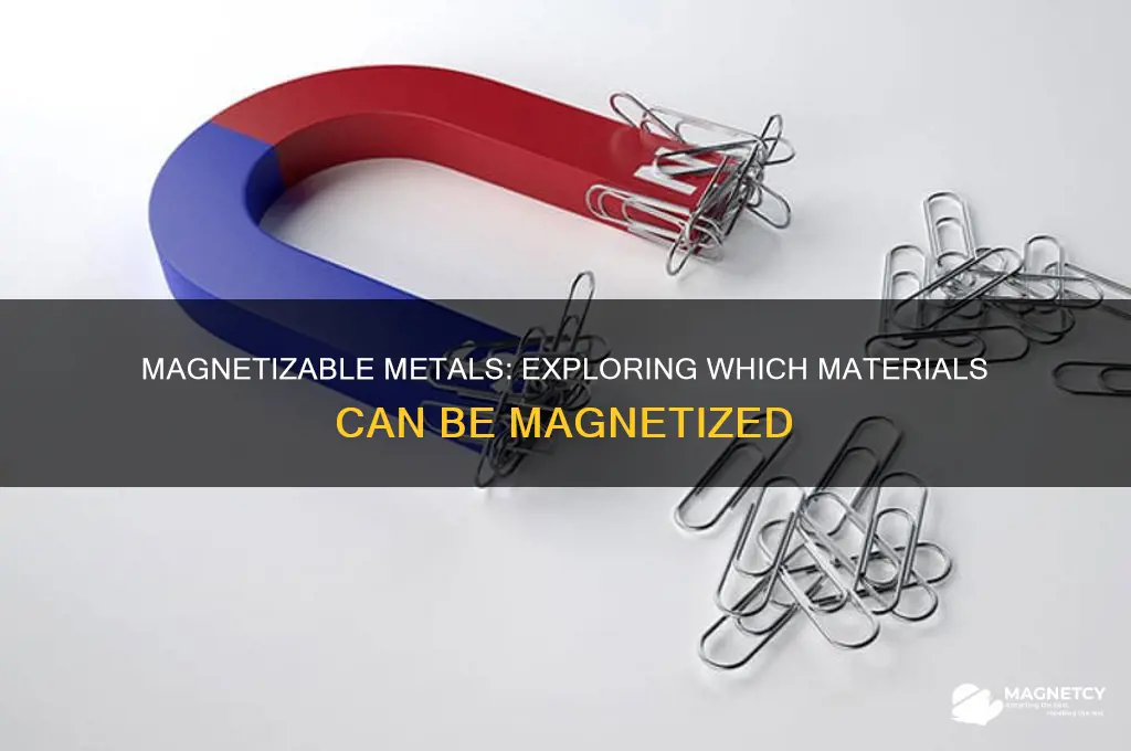 what metals can be magnetized