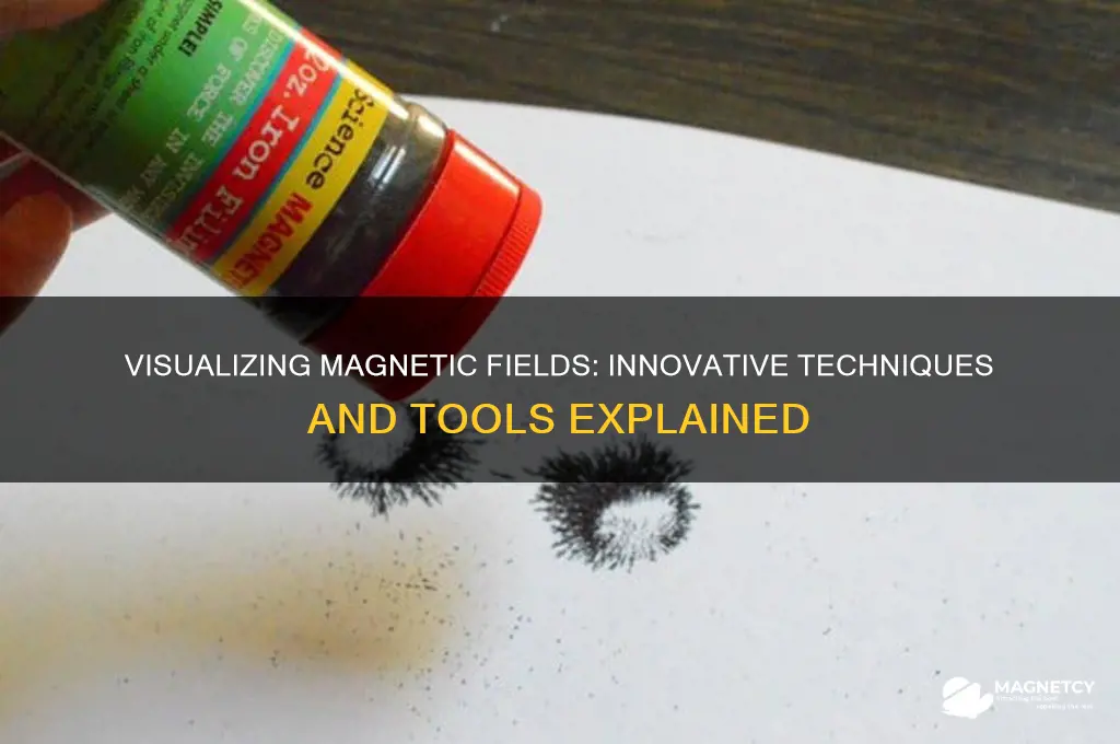 what methods can be used to visualize magnetic fields