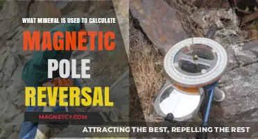 Magnetic Pole Reversal: The Role of Magnetite in Earth's History
