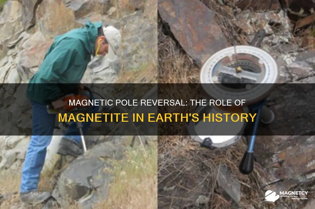 what mineral is used to calculate magnetic pole reversal