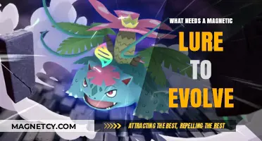 Unlocking Evolution: The Surprising Role of Magnetic Lures