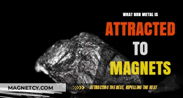 Unveiling the Surprising Non-Metal That Defies Logic and Attracts Magnets
