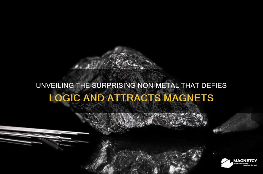 what non metal is attracted to magnets