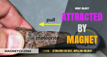 Magnetic Mysteries: Unveiling Objects Naturally Drawn to Magnets