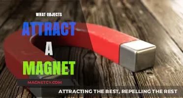 Magnetic Mysteries: Exploring Everyday Objects That Attract Magnets