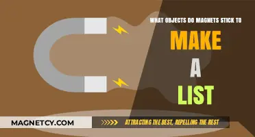 Magnetic Attraction: Exploring the Surprising Objects Magnets Stick To