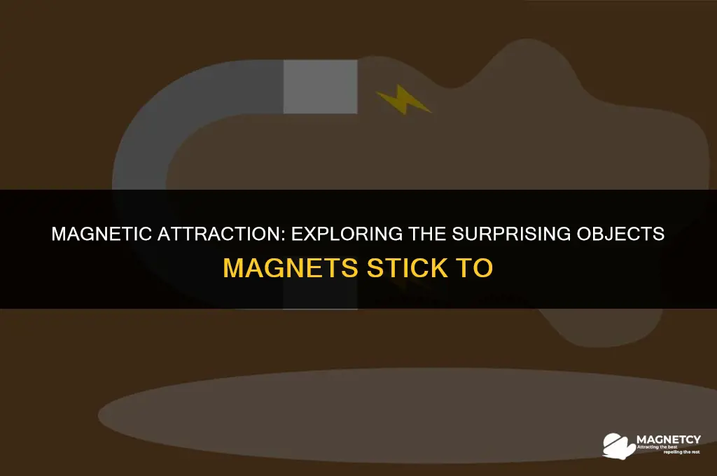 what objects do magnets stick to make a list