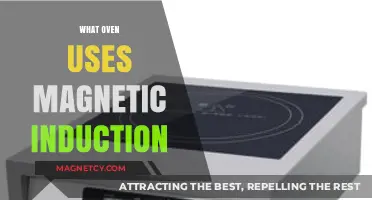 Magnetic Induction Ovens: How They Work and Their Benefits