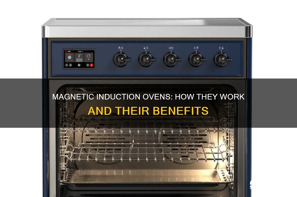 what oven uses magnetic induction