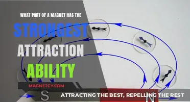 Magnetic Poles: Unveiling the Strongest Attraction Points on a Magnet