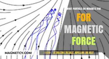 Unveiling the Magnetic Mystery: The Particle Behind Magnetism's Power
