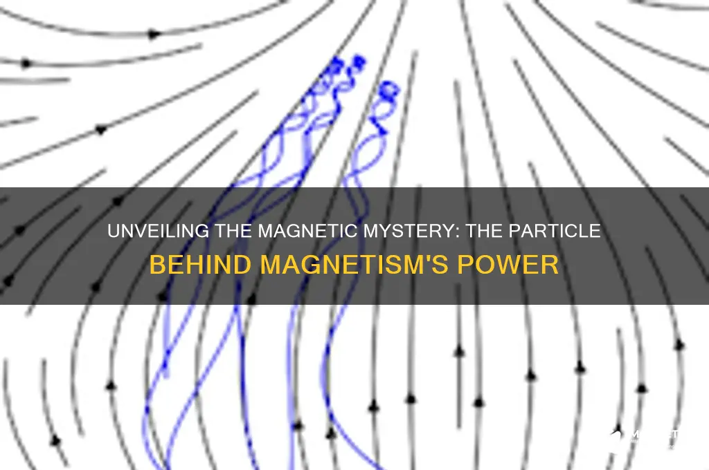 what particle do magnets use for magnetic force