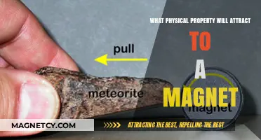 Magnetic Attraction: Understanding Which Physical Properties Draw Materials to Magnets