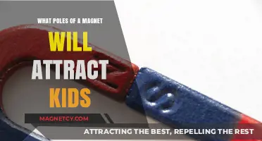Magnet Poles: Which Sides Attract Kids and Why?