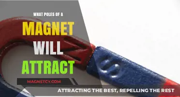 Magnetic Attraction: Understanding Which Poles of a Magnet Will Attract