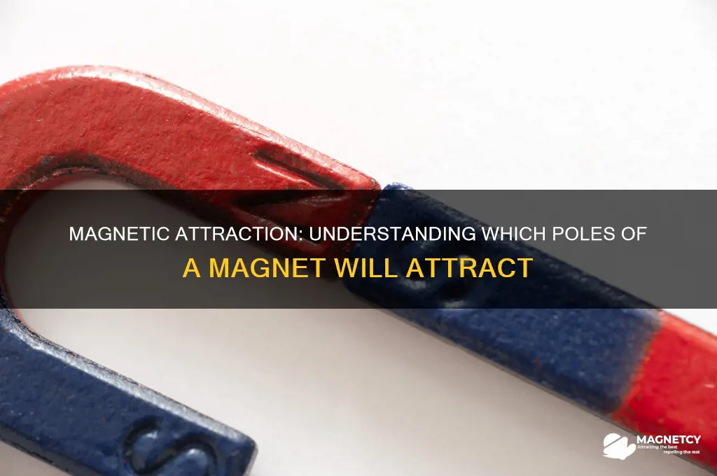what poles of a magnet will attract