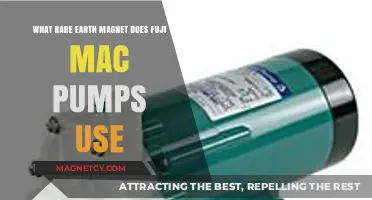 Rare Earth Magnets in Fuji Mac Pumps: Unveiling the Magnetic Power