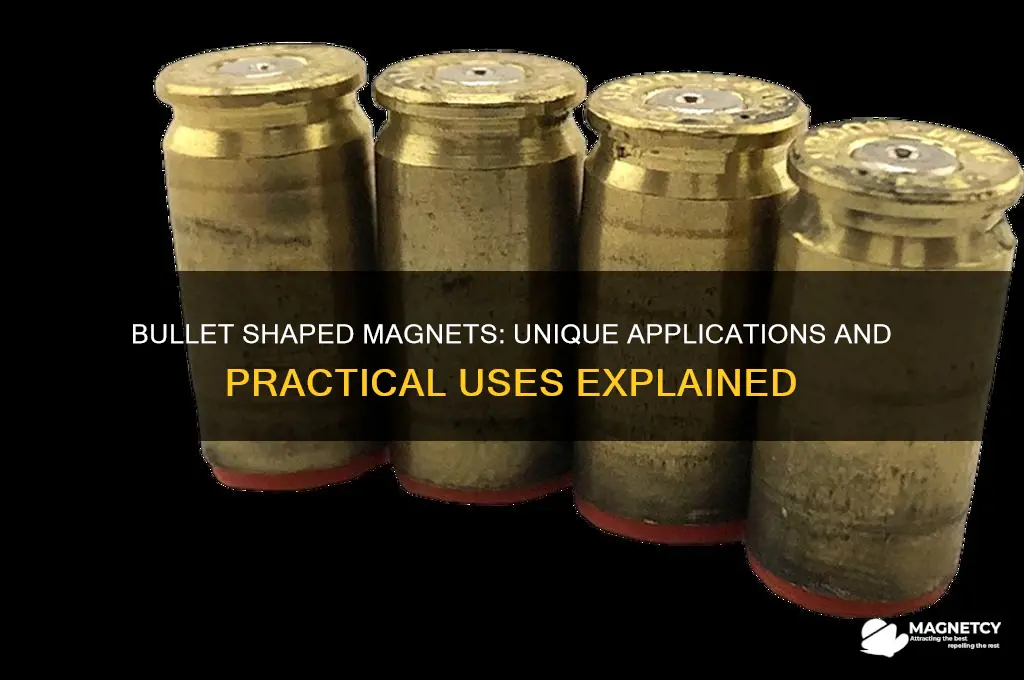 what re bullet shaped magnets used for