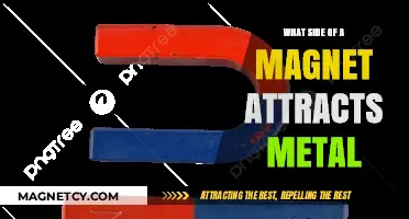 Understanding Magnet Poles: Which Side Attracts Metal Effectively?