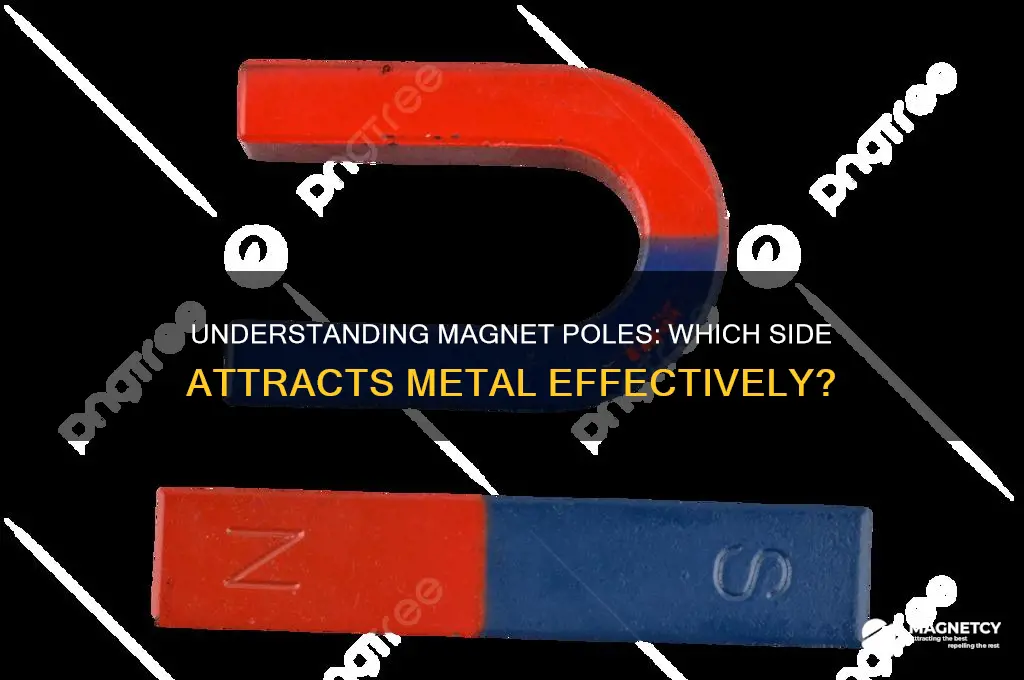 what side of a magnet attracts metal