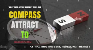 Which Side of a Magnet Attracts a Compass Needle?
