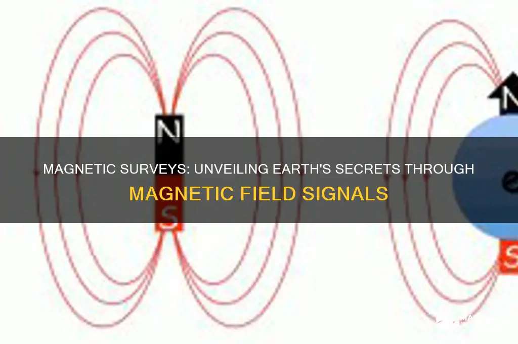 what signals do magnetic surveys use